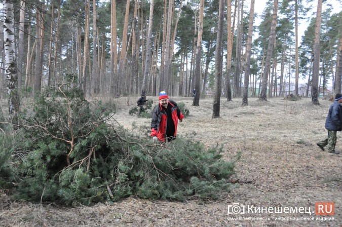 На уборку парка в Кинешме вышли коллективы спортивных школ фото 9