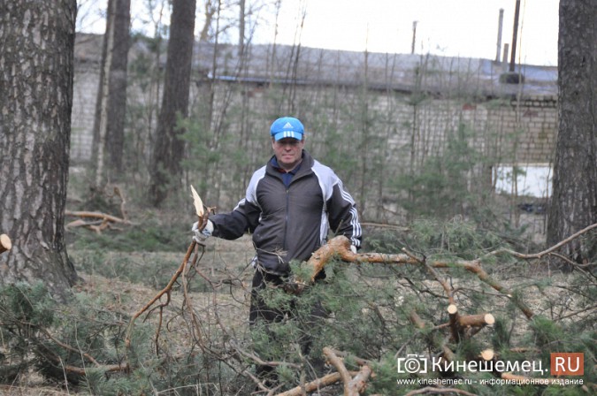 На уборку парка в Кинешме вышли коллективы спортивных школ фото 5