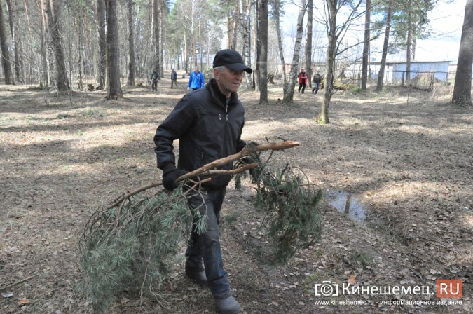 На уборку парка в Кинешме вышли коллективы спортивных школ фото 12