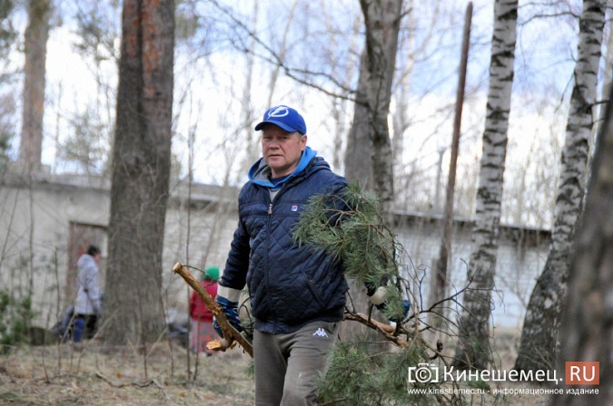 На уборку парка в Кинешме вышли коллективы спортивных школ фото 6