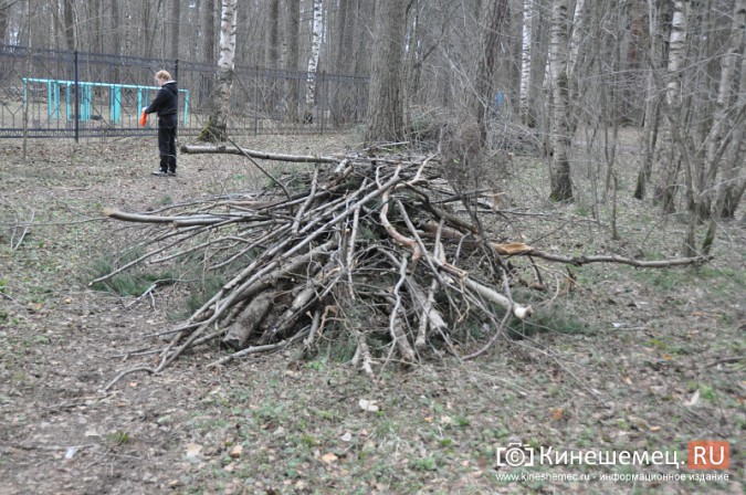 На уборку парка в Кинешме вышли коллективы спортивных школ фото 13
