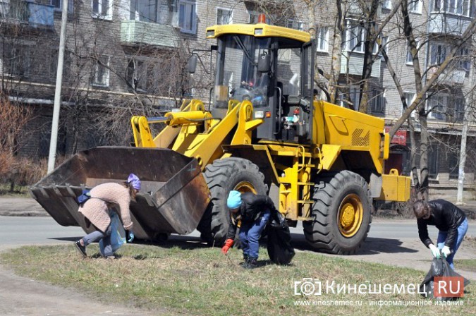 Чиновники Кинешмы искали мусор на убранном «Менделеевском поле» фото 4