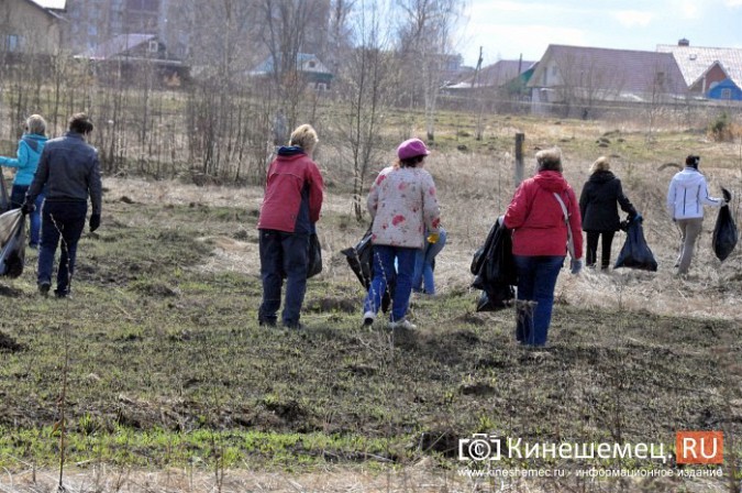 Чиновники Кинешмы искали мусор на убранном «Менделеевском поле» фото 15