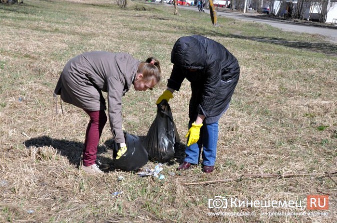 Чиновники Кинешмы искали мусор на убранном «Менделеевском поле» фото 3