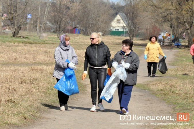 Чиновники Кинешмы искали мусор на убранном «Менделеевском поле» фото 12