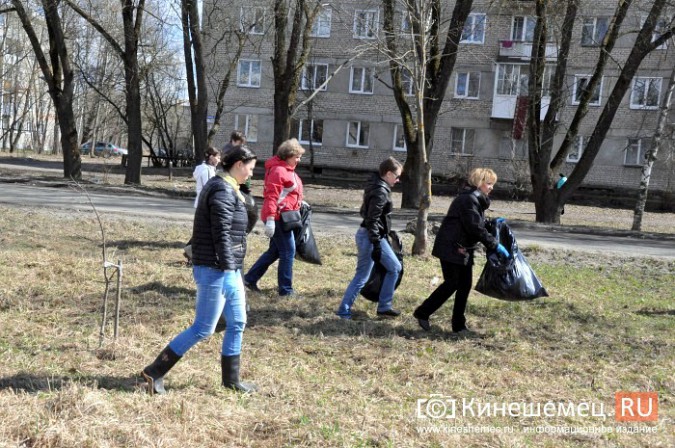 Чиновники Кинешмы искали мусор на убранном «Менделеевском поле» фото 8
