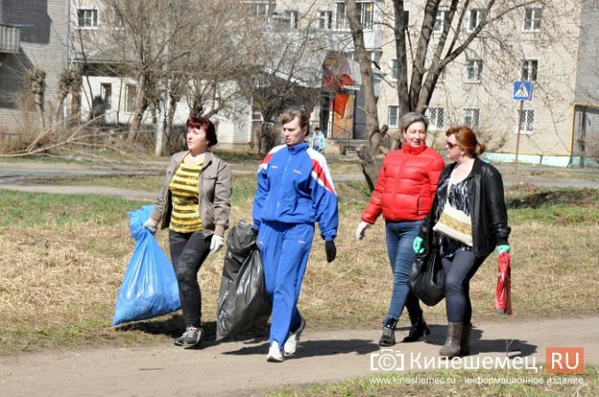 Чиновники Кинешмы искали мусор на убранном «Менделеевском поле» фото 6