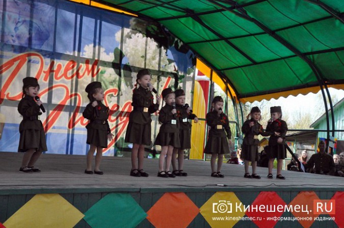 В центральном парке Кинешмы отметили 73-ю годовщину Победы фото 43