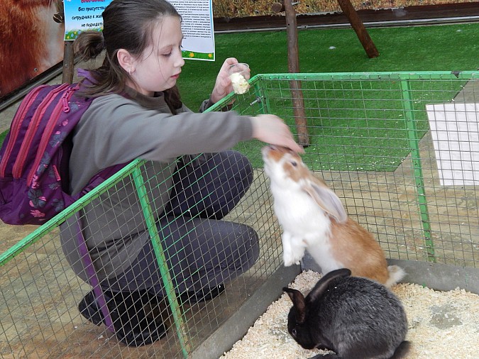 Юные кинешемские художники изобразили обитателей экзофермы фото 2