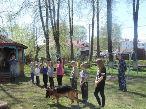 Кинешемские детдомовцы встретились с кинологами фото 2