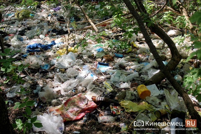 Возле стоматологической поликлиники в Кинешме выросла огромная свалка фото 7