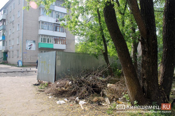 Мэрия Кинешмы пообещала убрать весь мусор после субботников до 23 мая фото 3