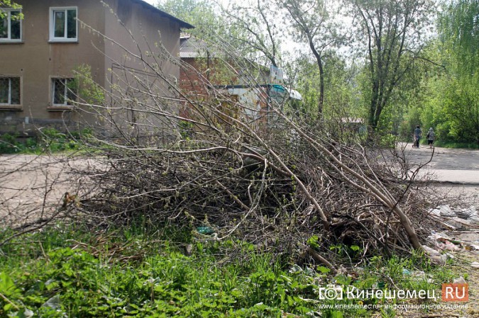 Мэрия Кинешмы пообещала убрать весь мусор после субботников до 23 мая фото 2