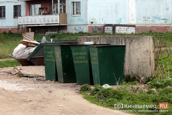 Мэрия Кинешмы пообещала убрать весь мусор после субботников до 23 мая фото 5