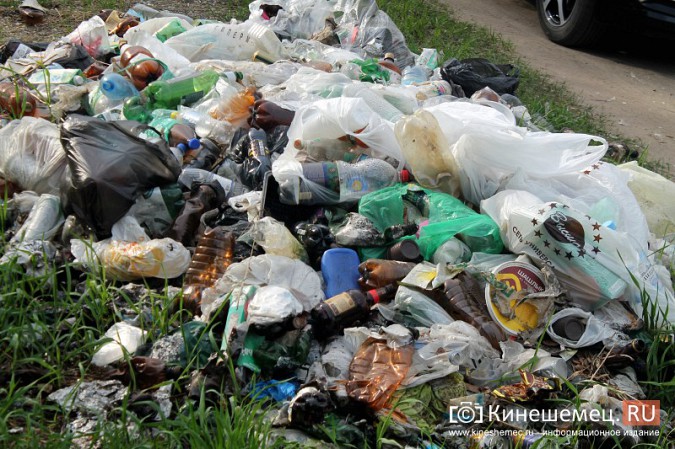 Мэрия Кинешмы пообещала убрать весь мусор после субботников до 23 мая фото 21