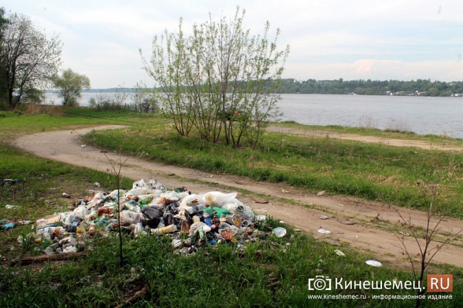 Мэрия Кинешмы пообещала убрать весь мусор после субботников до 23 мая фото 17