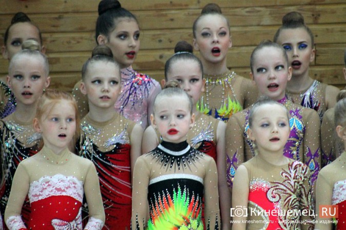 В Кинешме прошли соревнования по художественной гимнастике фото 41