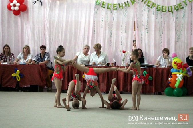 В Кинешме прошли соревнования по художественной гимнастике фото 86