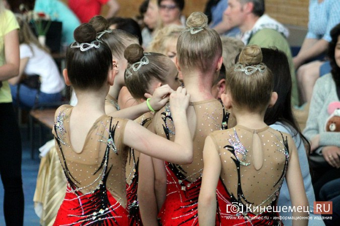 В Кинешме прошли соревнования по художественной гимнастике фото 48