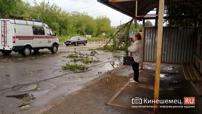 Мощная буря в Кинешме: множество обрывов электропроводов, поломаны деревья фото 3