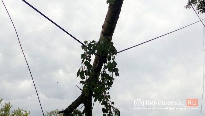 Мощная буря в Кинешме: множество обрывов электропроводов, поломаны деревья фото 5