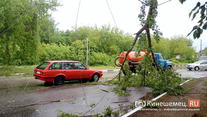 Мощная буря в Кинешме: множество обрывов электропроводов, поломаны деревья фото 4