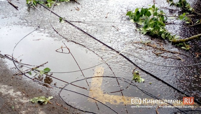 Мощная буря в Кинешме: множество обрывов электропроводов, поломаны деревья фото 8