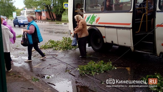 Мощная буря в Кинешме: множество обрывов электропроводов, поломаны деревья фото 7