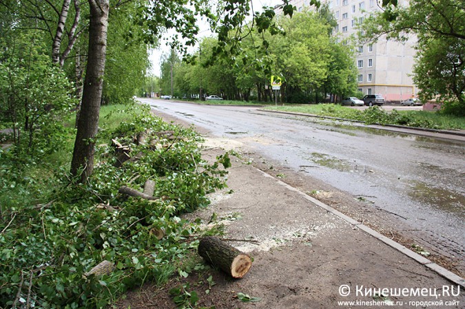 Бригады УГХ Кинешмы вышли на уборку последствий урагана фото 6