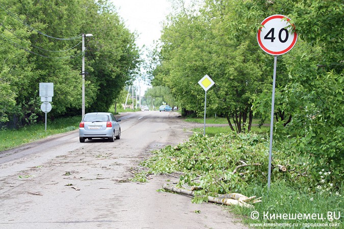 Бригады УГХ Кинешмы вышли на уборку последствий урагана фото 5