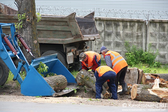 Бригады УГХ Кинешмы вышли на уборку последствий урагана фото 4