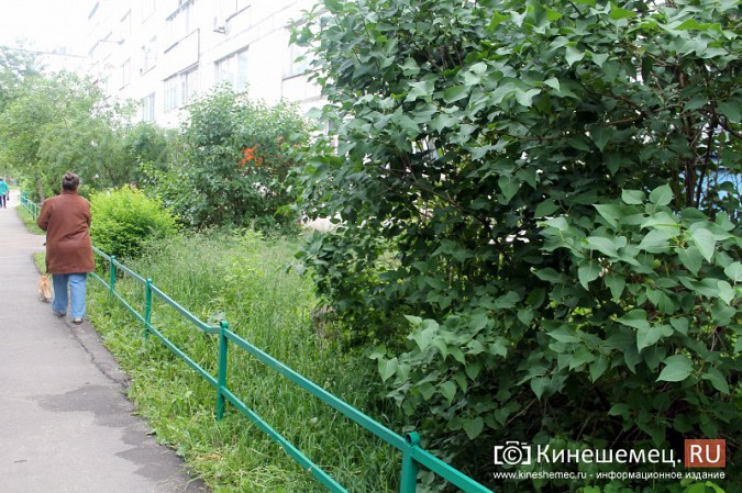 Жители девятиэтажки на улице Бойцова недовольны председателем ТСЖ фото 5