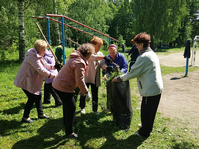 По Кинешме прошел «Зеленый рейд» фото 2