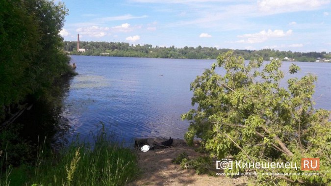 В Кинешме на Волге трагически погиб 71-летний рыбак фото 2