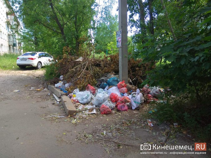 Кинешемцы напоминают властям, что люди живут не только в центре города фото 5