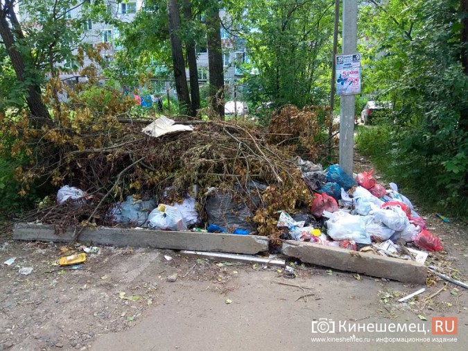 Кинешемцы напоминают властям, что люди живут не только в центре города фото 3