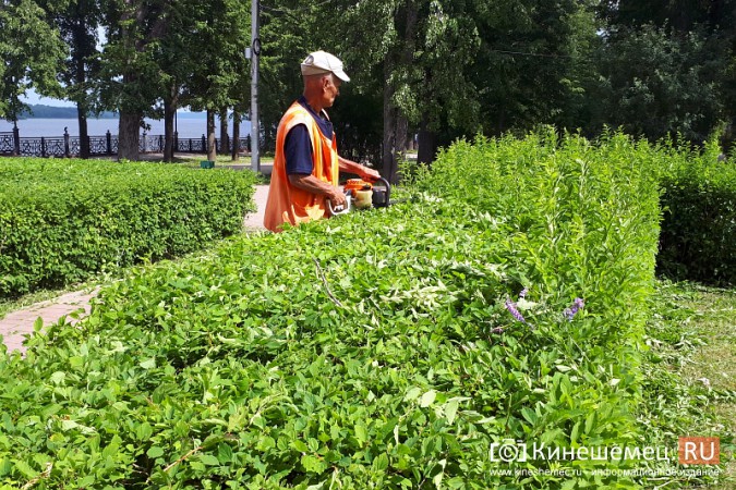 В преддверии Дня города в Кинешме приводят в порядок Волжский бульвар фото 3