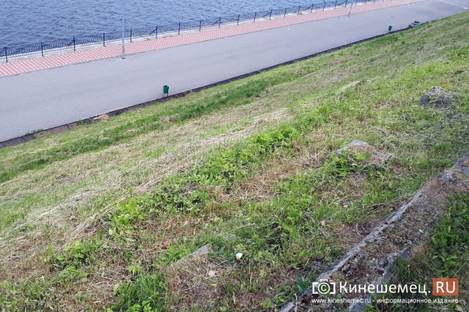 В преддверии Дня города в Кинешме приводят в порядок Волжский бульвар фото 7