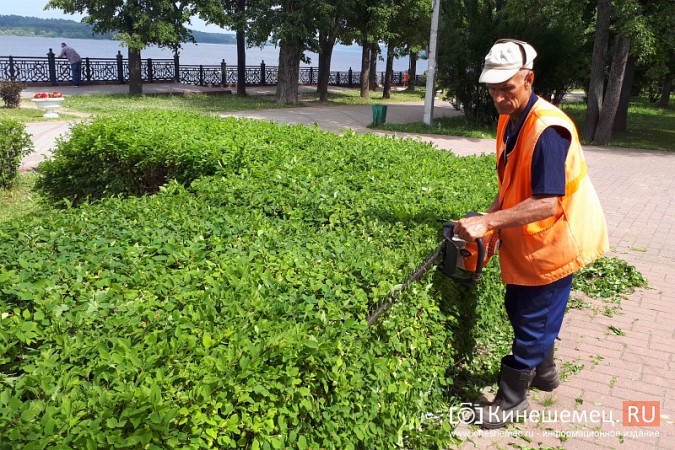 В преддверии Дня города в Кинешме приводят в порядок Волжский бульвар фото 4