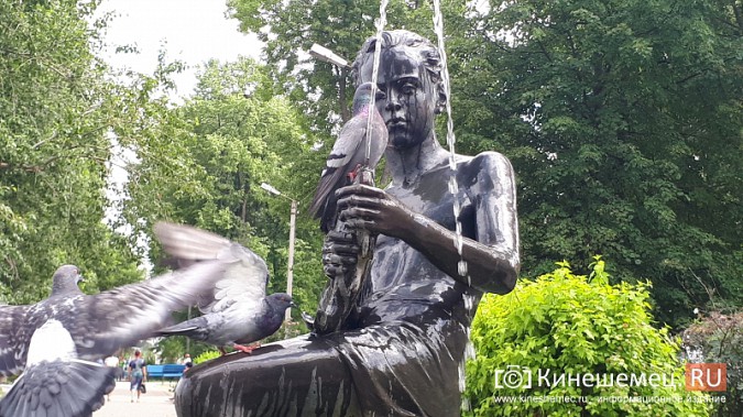 Кинешемские голуби спасаются от жары у «Мальчика с рыбкой» фото 4