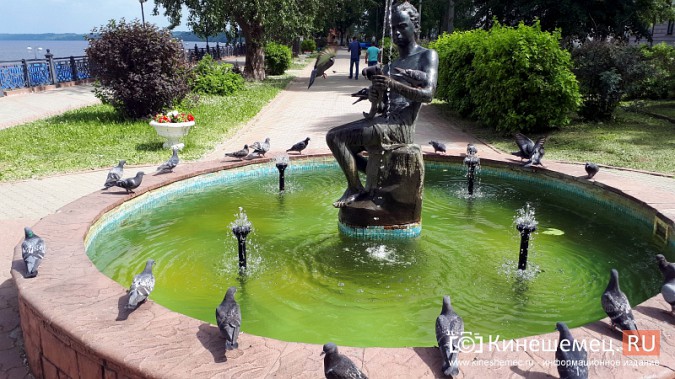 Кинешемские голуби спасаются от жары у «Мальчика с рыбкой» фото 2