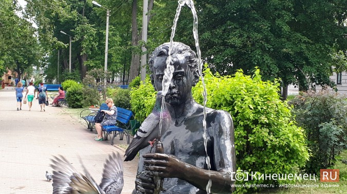 Кинешемские голуби спасаются от жары у «Мальчика с рыбкой» фото 3