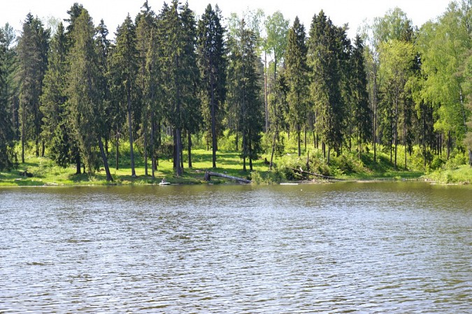 Девушка-инвалид утонула в Шуе на глазах у отдыхающих фото 2