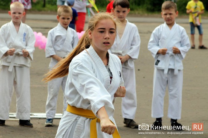 В День города в Кинешме прошел фестиваль воздушных змеев фото 12