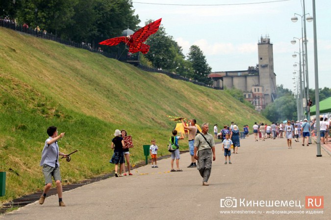 В День города в Кинешме прошел фестиваль воздушных змеев фото 18
