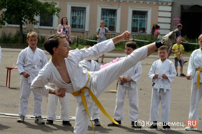 В День города в Кинешме прошел фестиваль воздушных змеев фото 10
