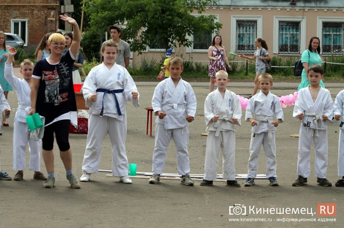 В День города в Кинешме прошел фестиваль воздушных змеев фото 14