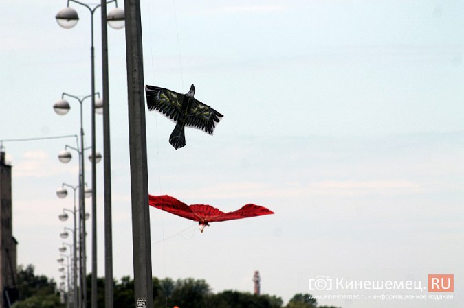 В День города в Кинешме прошел фестиваль воздушных змеев фото 70