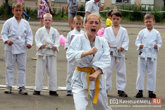 В День города в Кинешме прошел фестиваль воздушных змеев фото 13