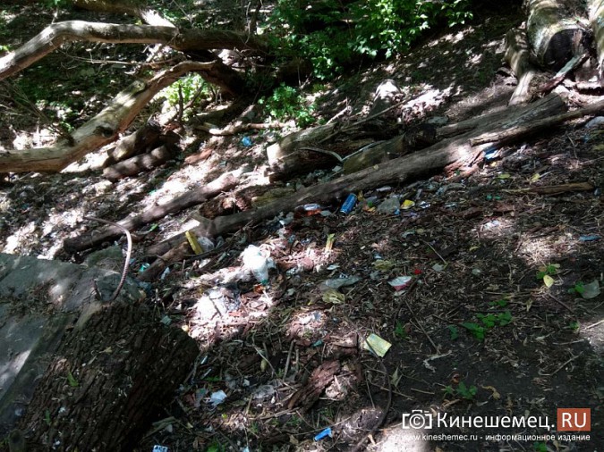 Кинешемцы снова бросают мусор в очищенный овраг возле городской стоматологии фото 11